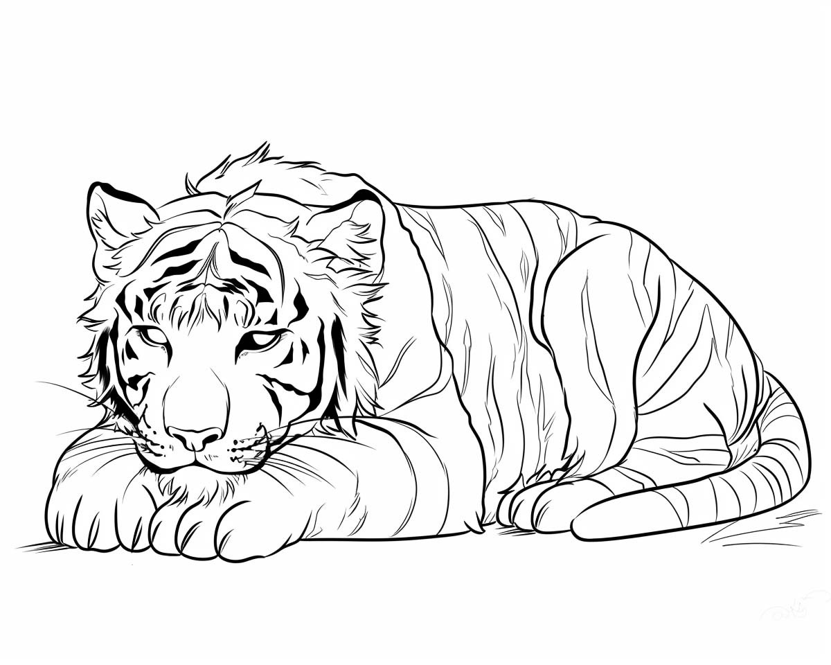 Schlafender Tiger zum Ausmalen